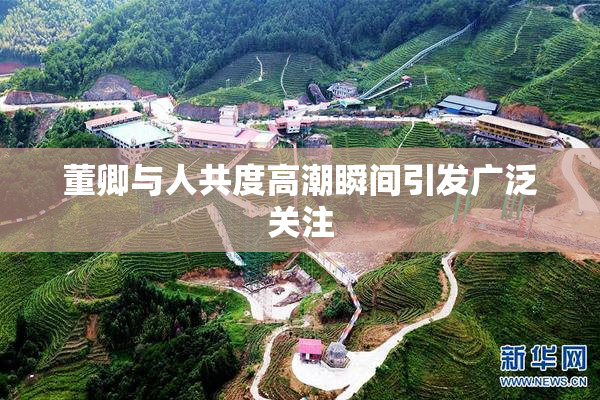 董卿与人共度高潮瞬间引发广泛关注