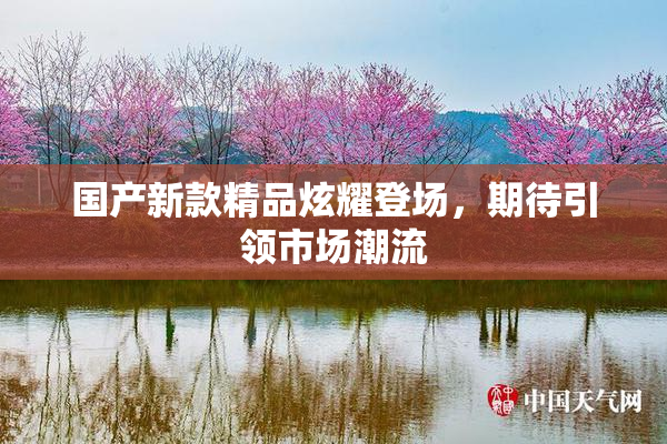 国产新款精品炫耀登场，期待引领市场潮流