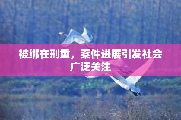 被绑在刑重，案件进展引发社会广泛关注