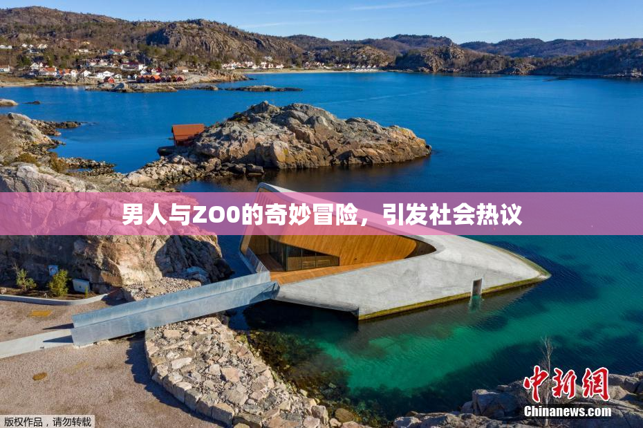 男人与ZO0的奇妙冒险，引发社会热议