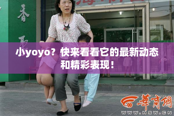 小yoyo？快来看看它的最新动态和精彩表现！