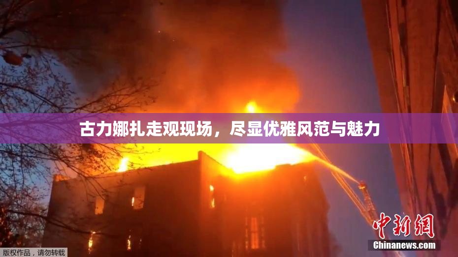 古力娜扎走观现场，尽显优雅风范与魅力