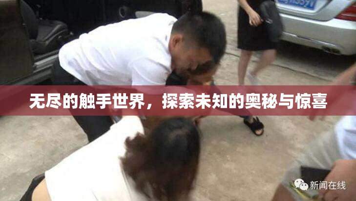 无尽的触手世界，探索未知的奥秘与惊喜