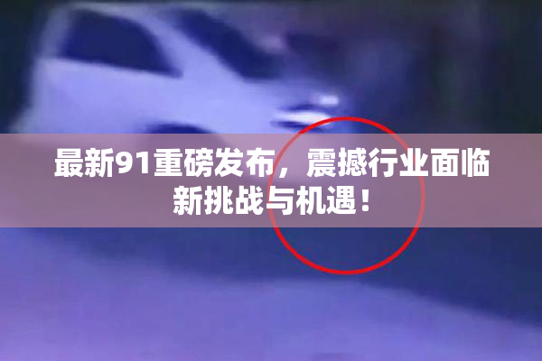 最新91重磅发布，震撼行业面临新挑战与机遇！