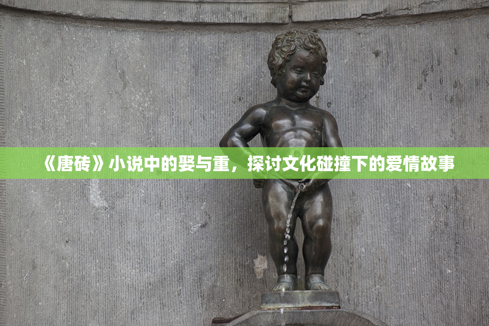 《唐砖》小说中的娶与重，探讨文化碰撞下的爱情故事