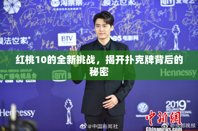 红桃10的全新挑战，揭开扑克牌背后的秘密