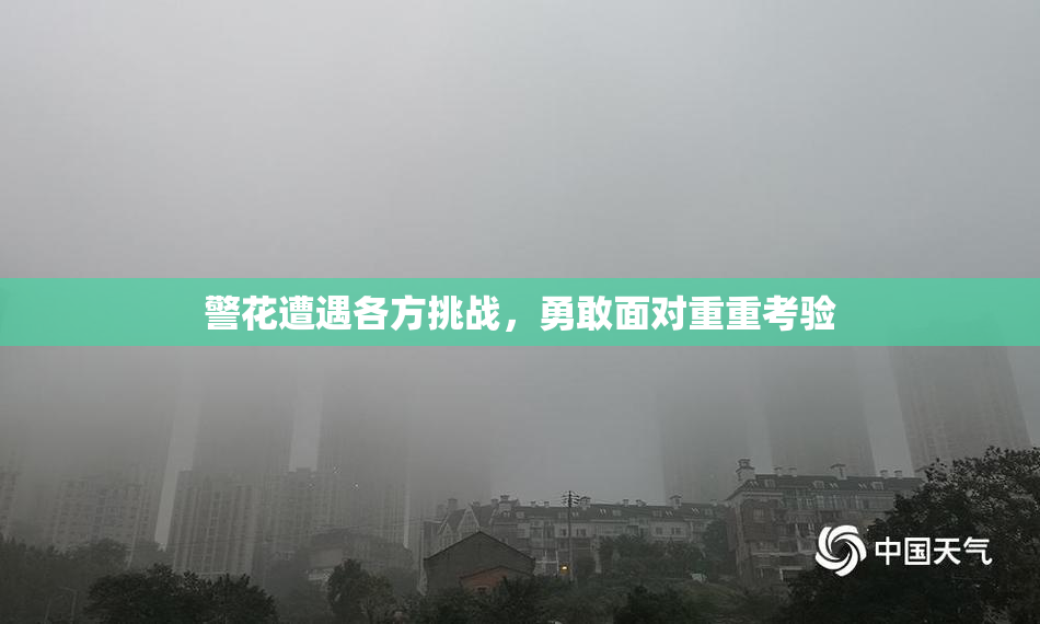 警花遭遇各方挑战，勇敢面对重重考验