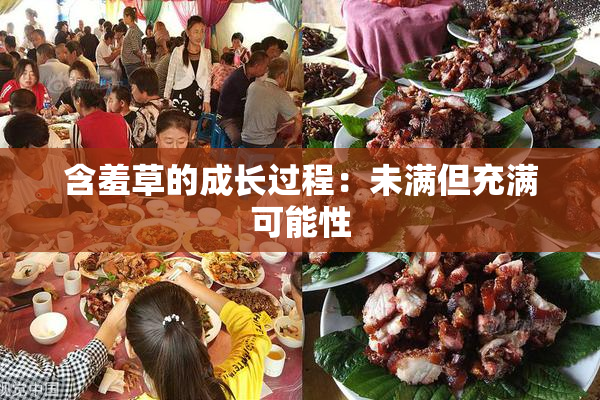 含羞草的成长过程：未满但充满可能性