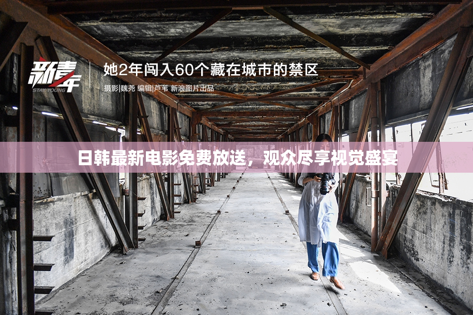 日韩最新电影免费放送，观众尽享视觉盛宴