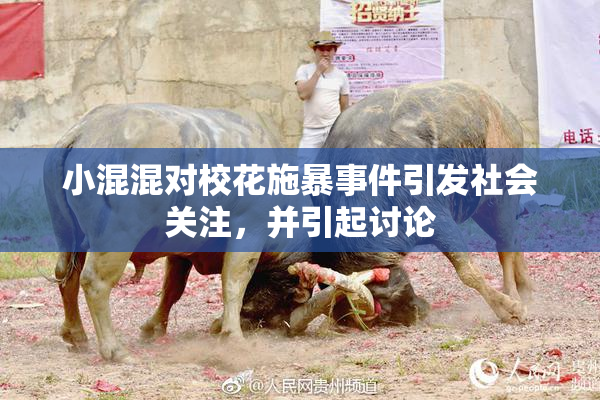 小混混对校花施暴事件引发社会关注，并引起讨论