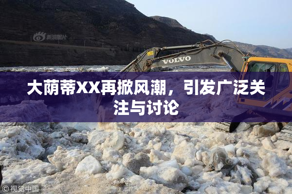 大荫蒂XX再掀风潮，引发广泛关注与讨论