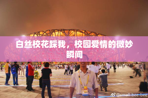 白丝校花踩我，校园爱情的微妙瞬间
