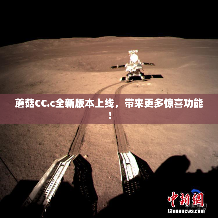 蘑菇CC.c全新版本上线，带来更多惊喜功能！