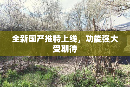 全新国产推特上线，功能强大受期待