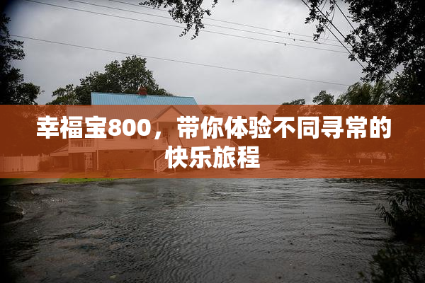 幸福宝800，带你体验不同寻常的快乐旅程