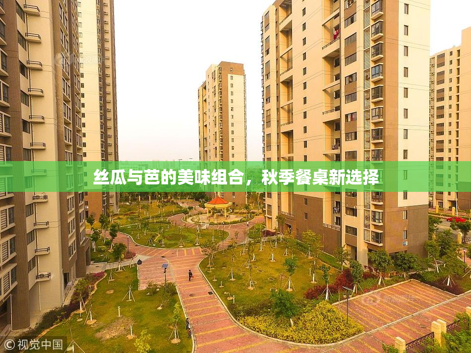 丝瓜与芭的美味组合，秋季餐桌新选择