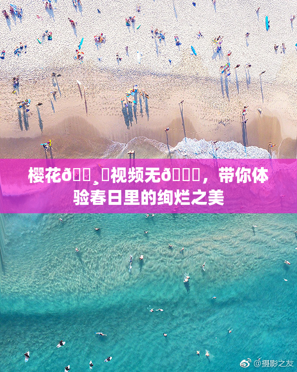 樱花🌸‌视频无🈚，带你体验春日里的绚烂之美