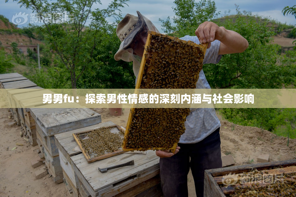 男男fu：探索男性情感的深刻内涵与社会影响