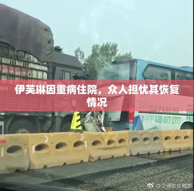 伊芙琳因重病住院，众人担忧其恢复情况