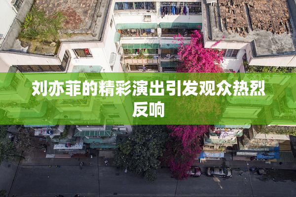 刘亦菲的精彩演出引发观众热烈反响