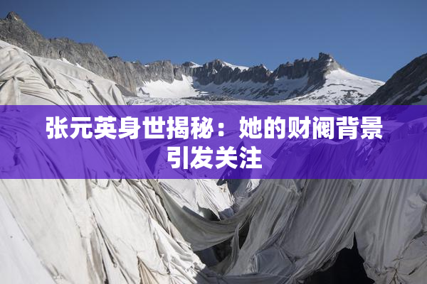 张元英身世揭秘：她的财阀背景引发关注