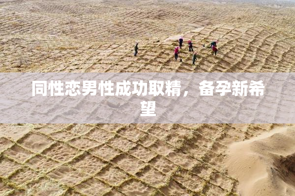 同性恋男性成功取精，备孕新希望