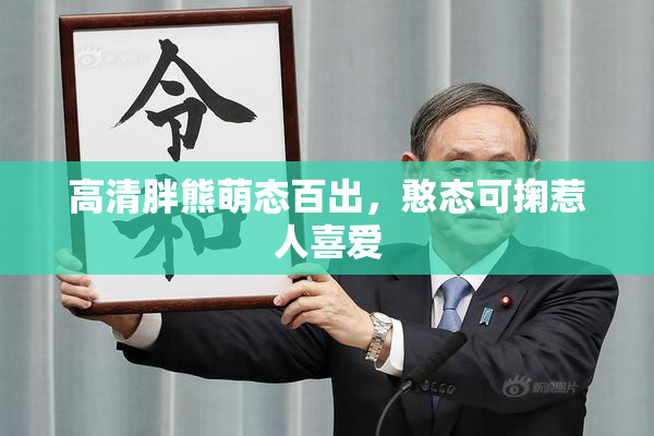 高清胖熊萌态百出，憨态可掬惹人喜爱
