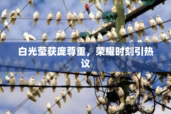 白光莹获庞尊重，荣耀时刻引热议