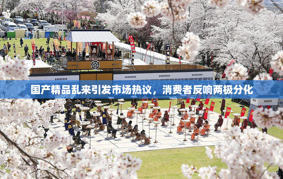 国产精品乱来引发市场热议，消费者反响两极分化