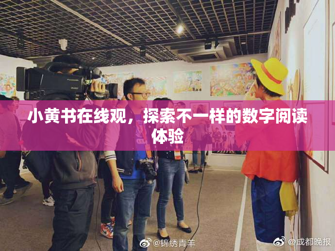 小黄书在线观，探索不一样的数字阅读体验