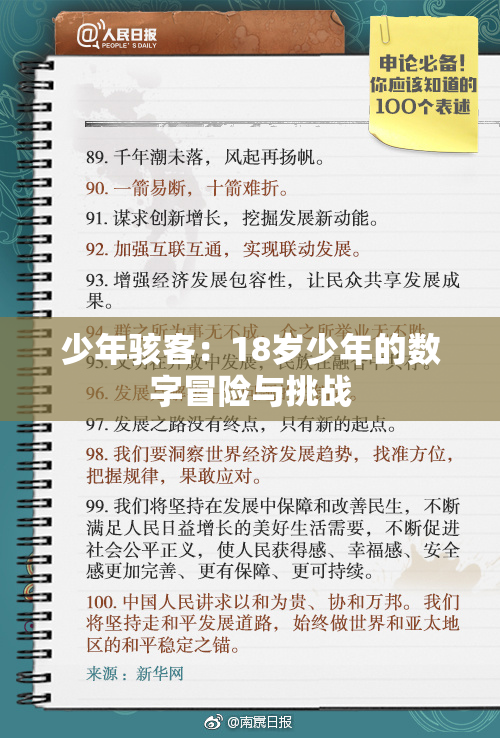 少年骇客：18岁少年的数字冒险与挑战