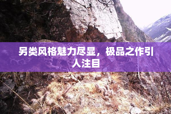 另类风格魅力尽显，极品之作引人注目