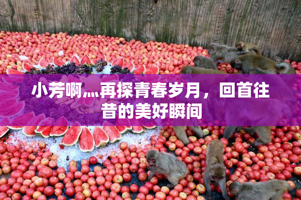 小芳啊灬再探青春岁月，回首往昔的美好瞬间