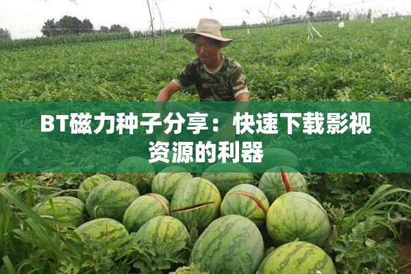 BT磁力种子分享：快速下载影视资源的利器