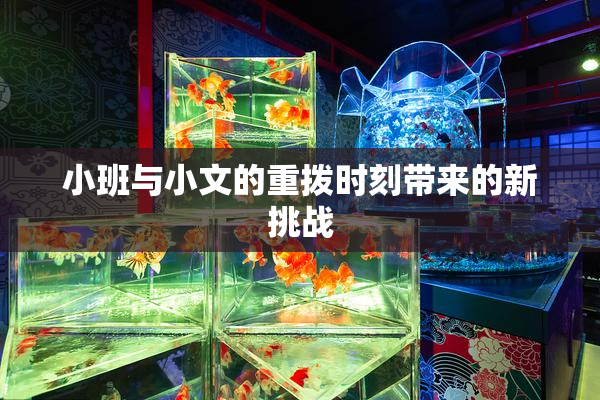 小班与小文的重拨时刻带来的新挑战