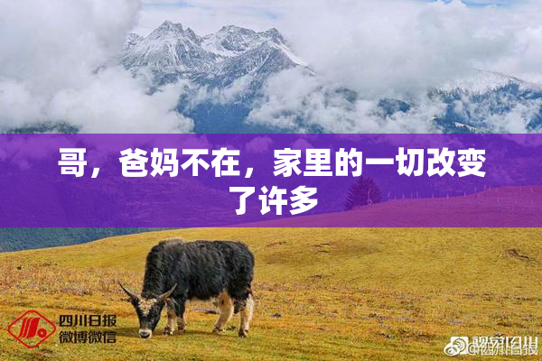 哥，爸妈不在，家里的一切改变了许多