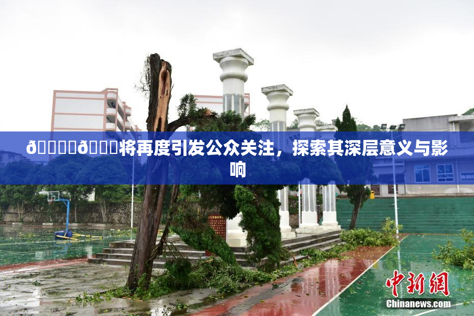 🔞‌🍌将再度引发公众关注，探索其深层意义与影响