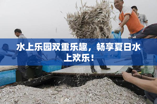 水上乐园双重乐趣，畅享夏日水上欢乐！