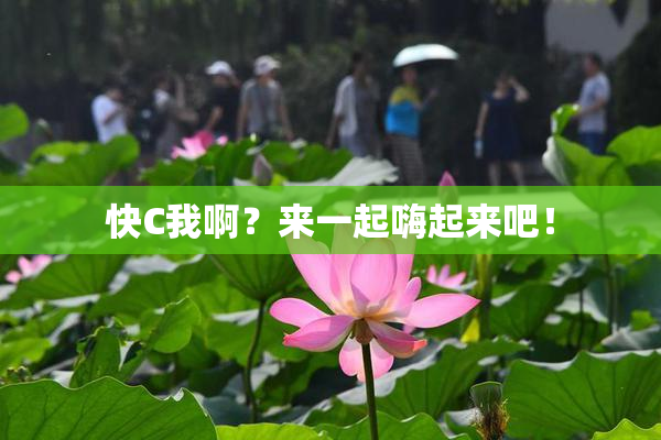 快C我啊？来一起嗨起来吧！