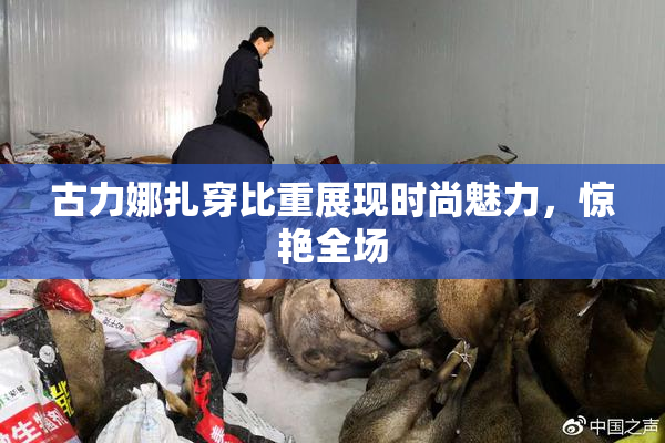 古力娜扎穿比重展现时尚魅力，惊艳全场