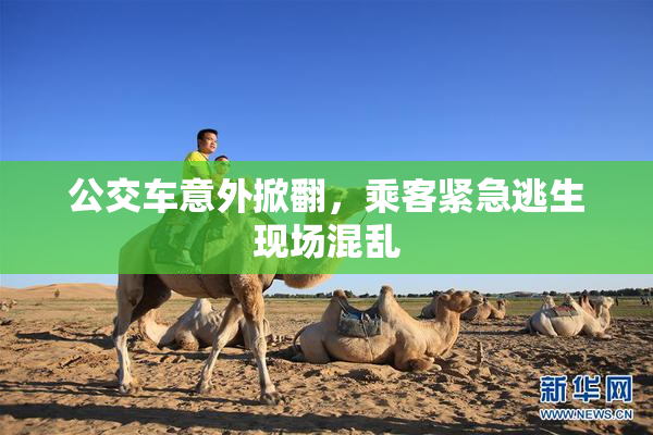 公交车意外掀翻，乘客紧急逃生现场混乱