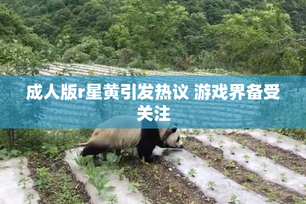 成人版r星黄引发热议 游戏界备受关注
