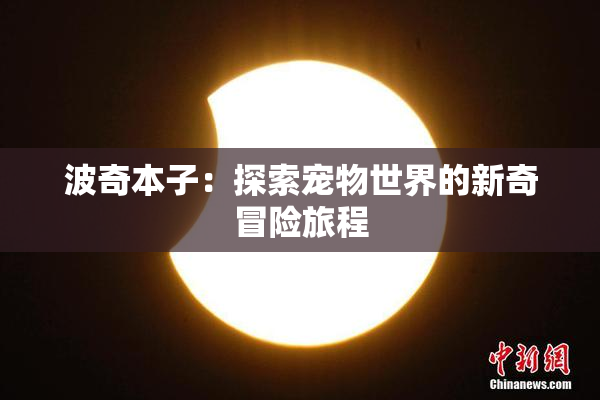 波奇本子：探索宠物世界的新奇冒险旅程