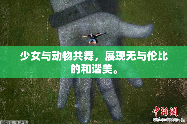 少女与动物共舞，展现无与伦比的和谐美。