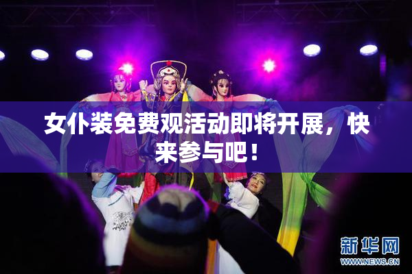 女仆装免费观活动即将开展，快来参与吧！