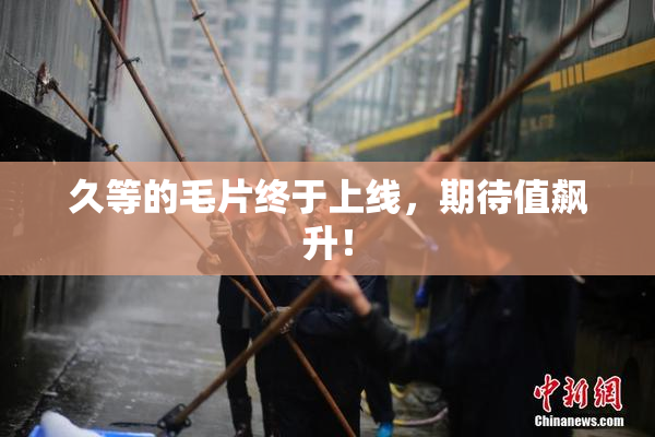 久等的毛片终于上线，期待值飙升！