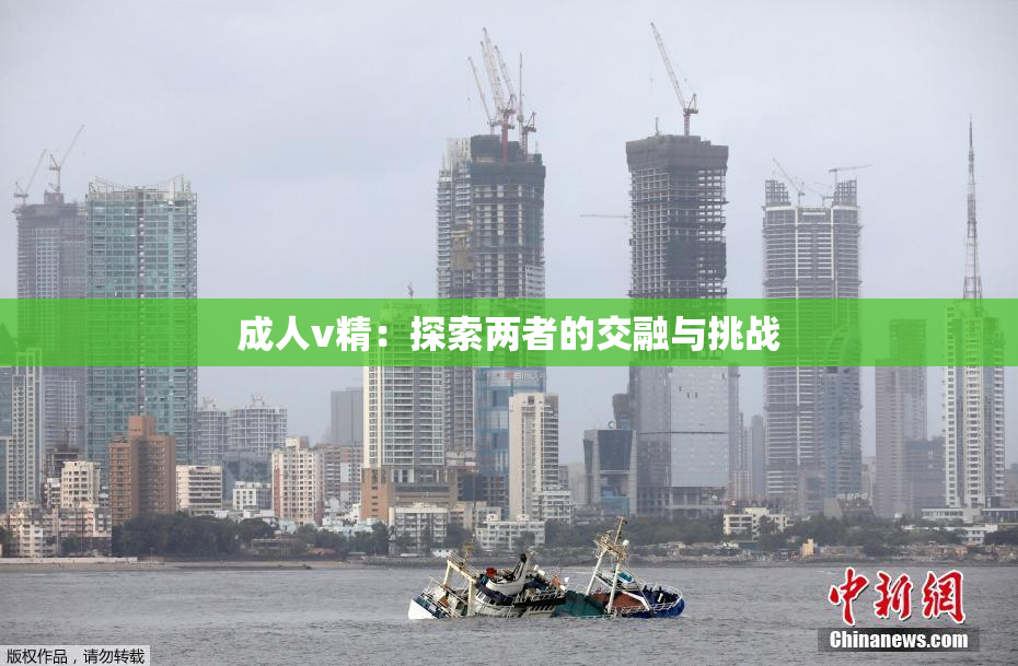 成人v精：探索两者的交融与挑战