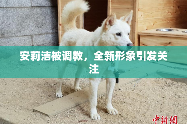 安莉洁被调教，全新形象引发关注