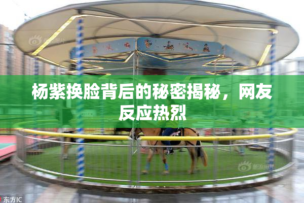 杨紫换脸背后的秘密揭秘，网友反应热烈