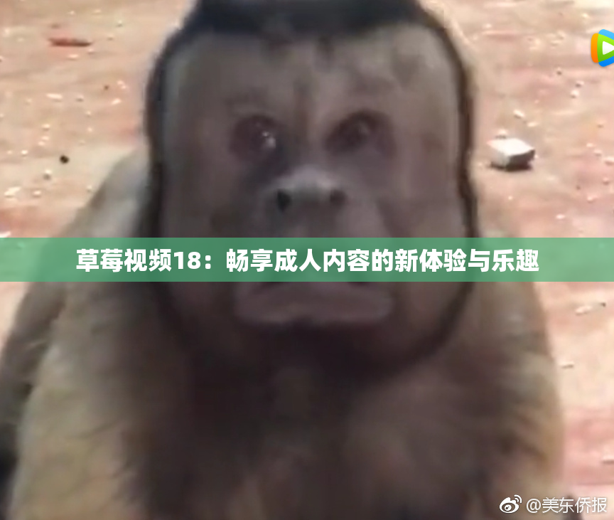 草莓视频18：畅享成人内容的新体验与乐趣